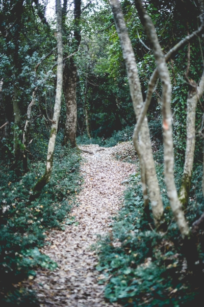 Click to enlarge image