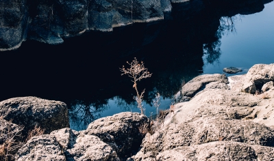 Click to enlarge image